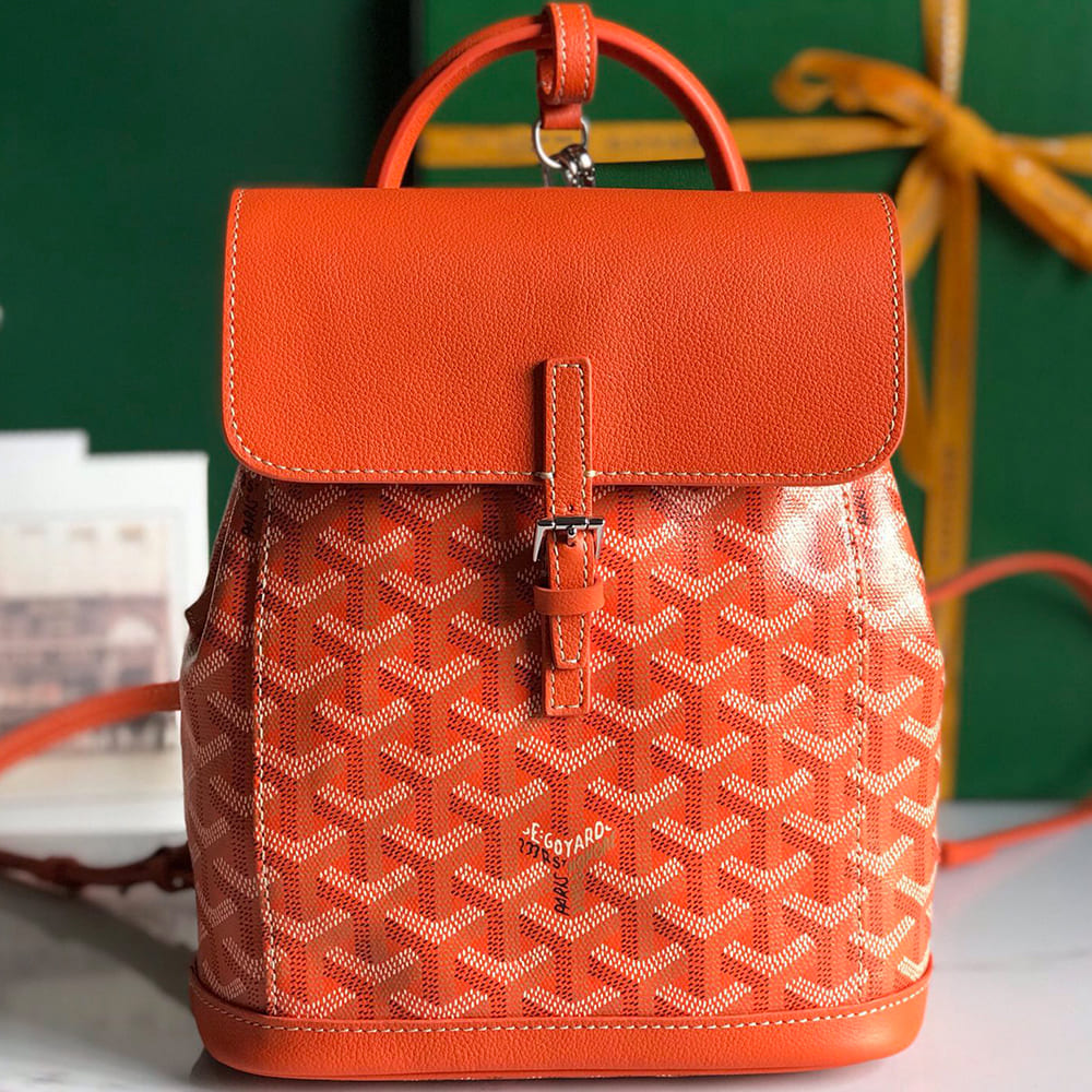 Goyard Alpin Mini Backpack