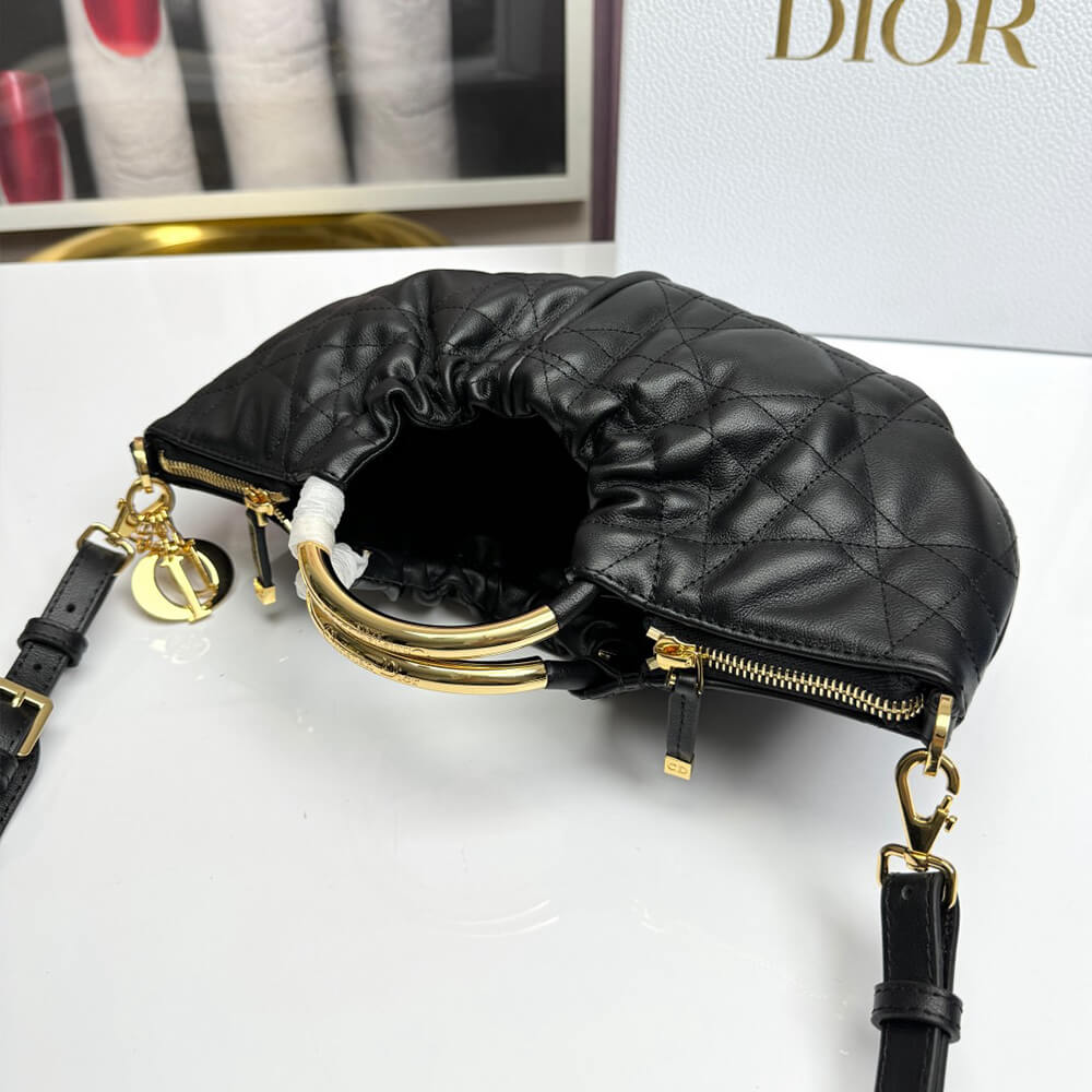 Dior Walk in Dior Purse