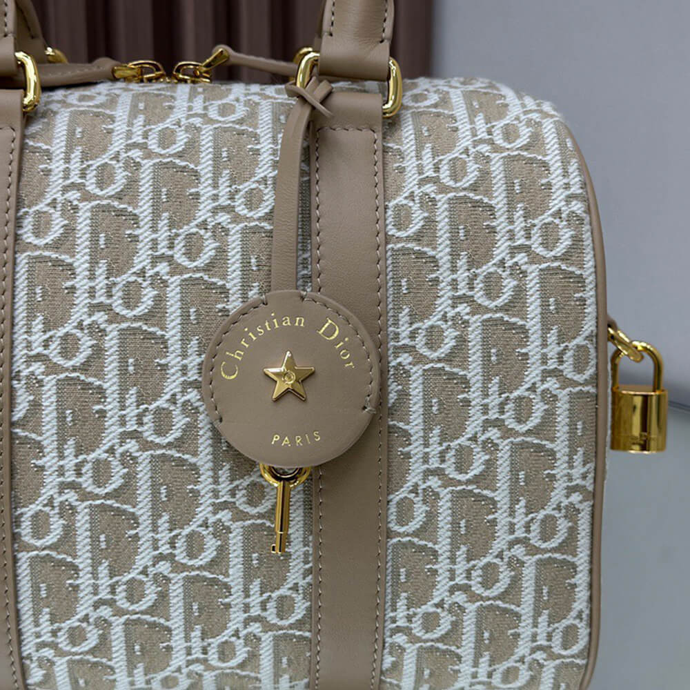 Dior Groove 25 Bag(HIGH-END GRADE)