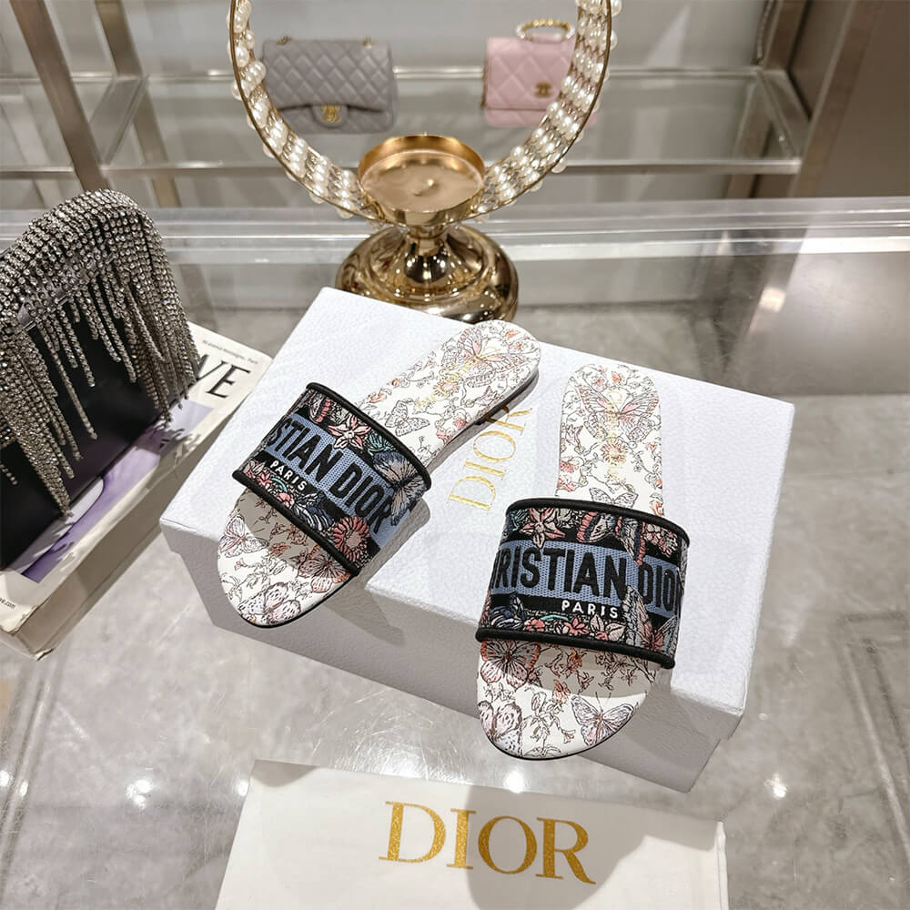 DIOR Dway Slide