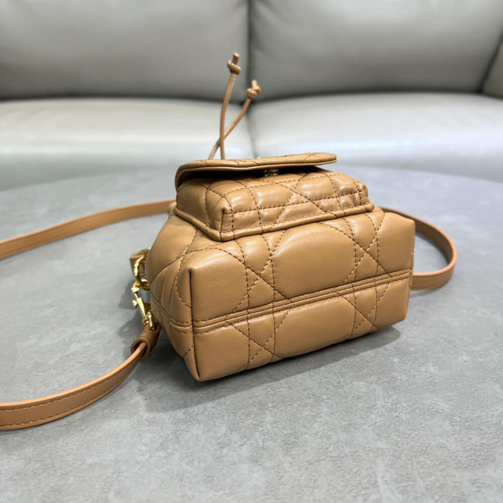 Dior Caro Nano Bucket Bag(HIGH-END GRADE)